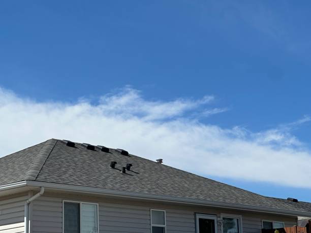 Professional Roofing in Coplay, PA